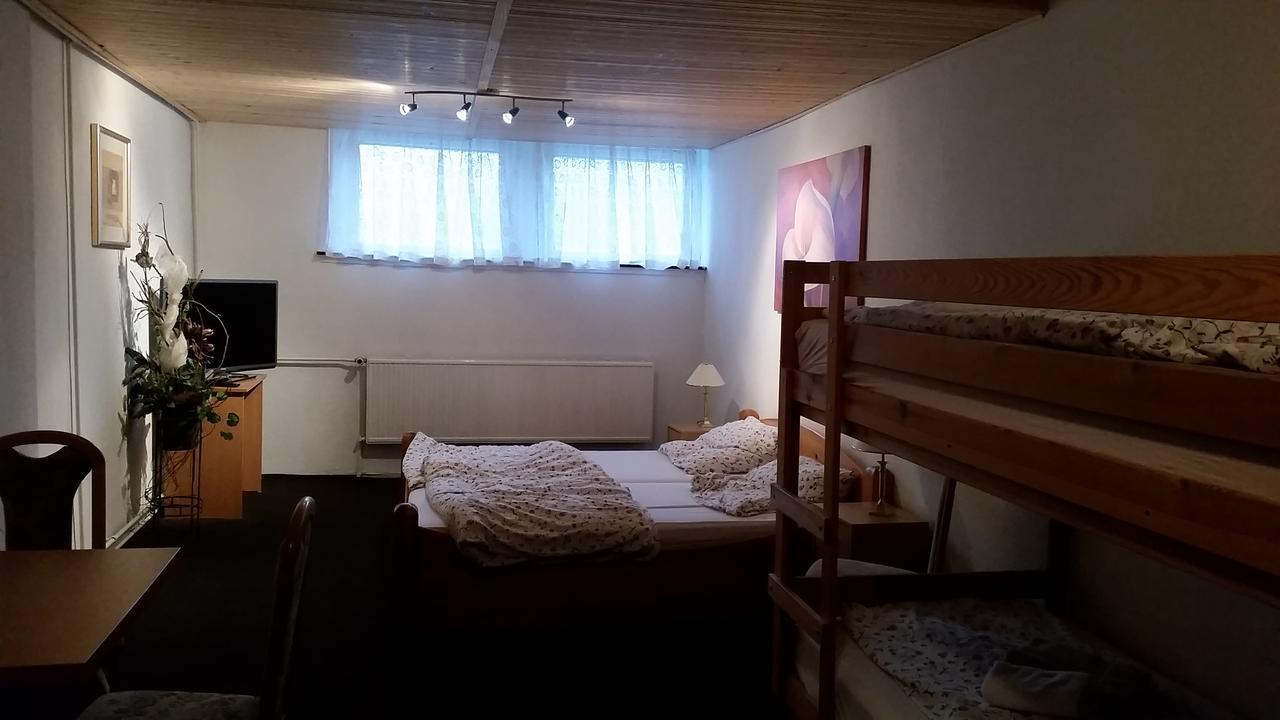 Pension Und Restaurant Die Burg Ehrenfriedersdorf Екстер'єр фото