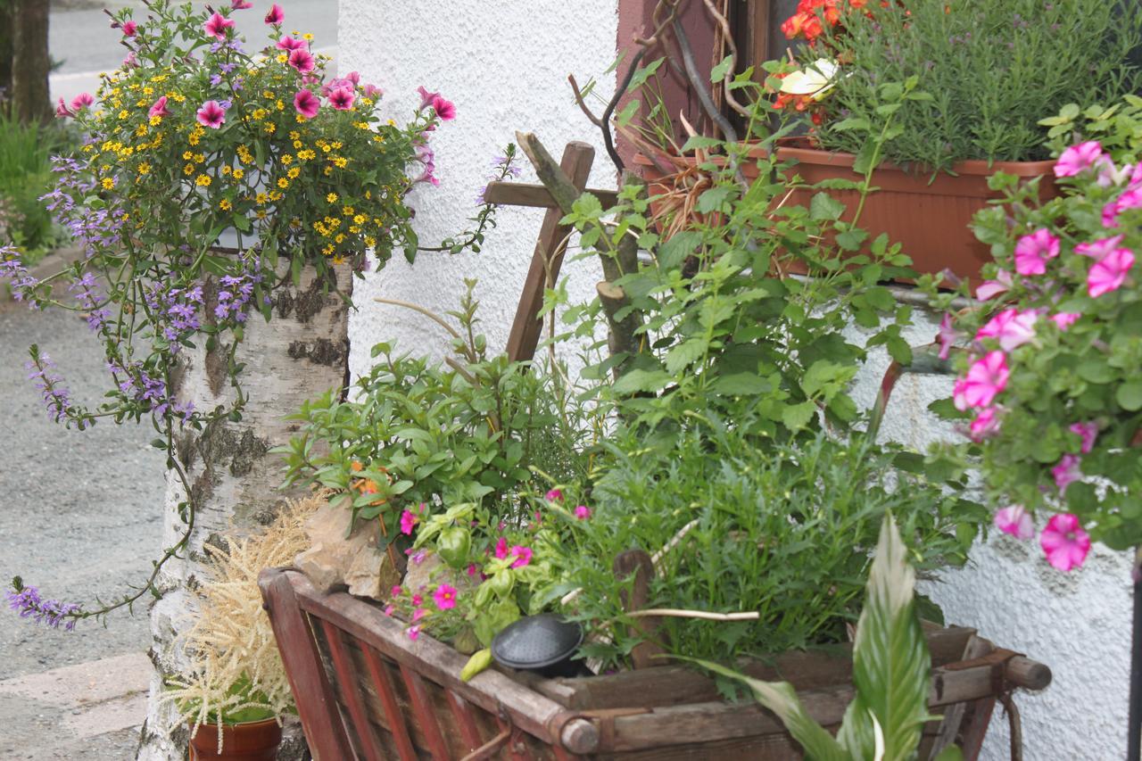 Pension Und Restaurant Die Burg Ehrenfriedersdorf Екстер'єр фото